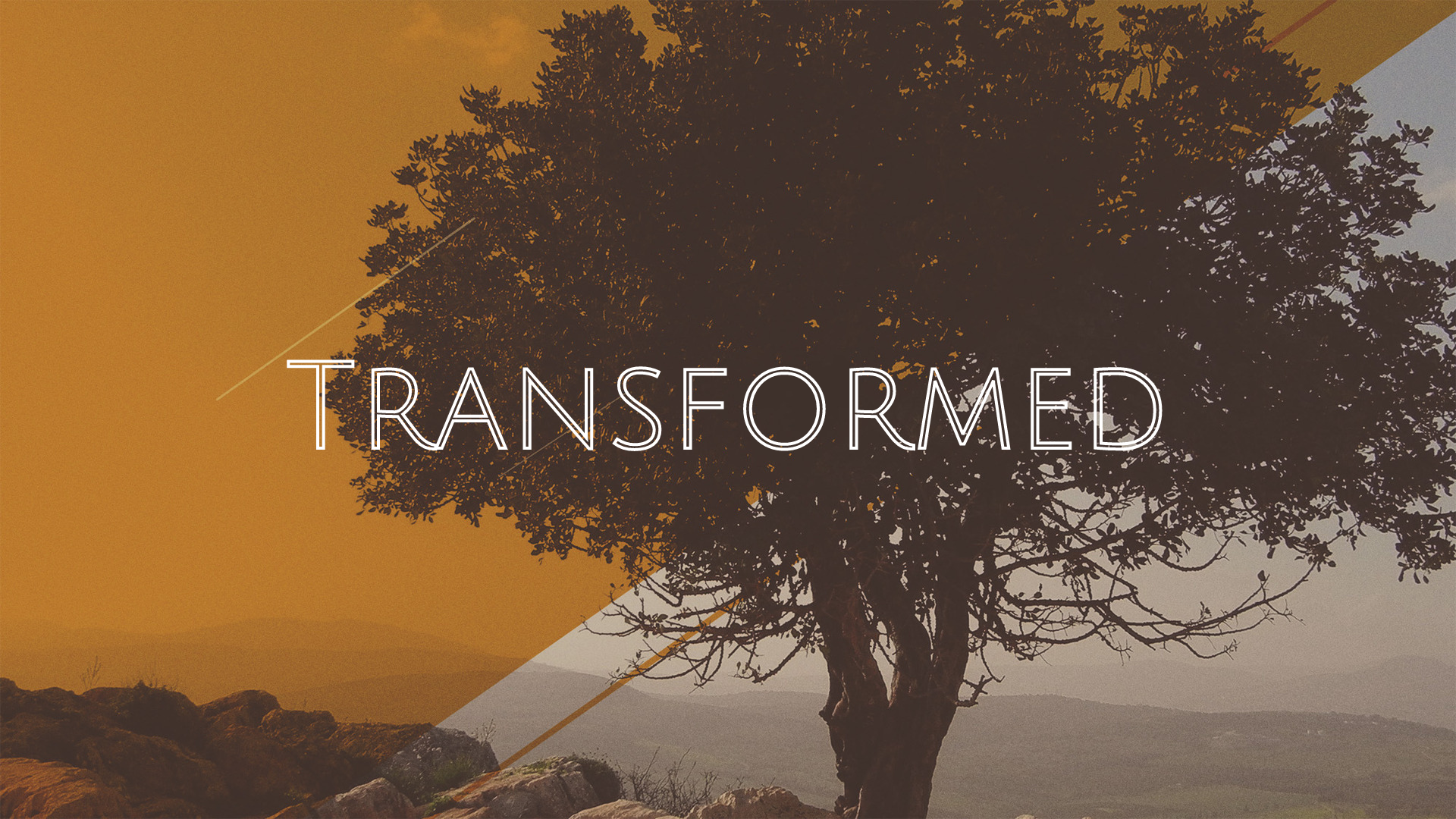 Transformed